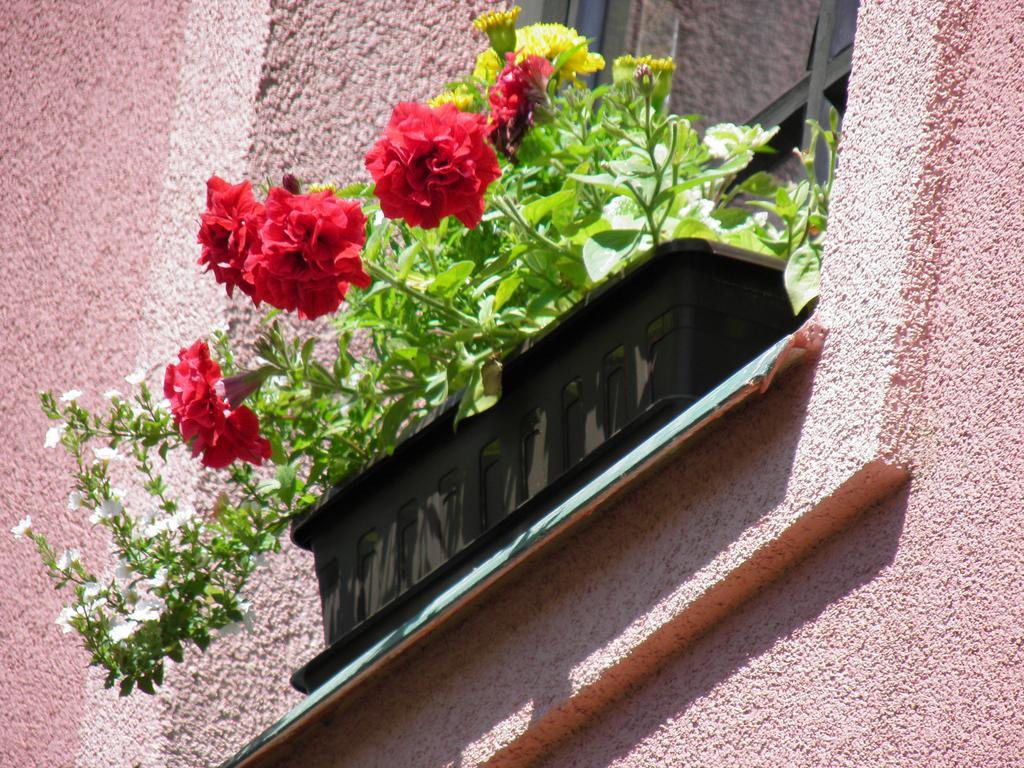 Pension Lipa Horni Marsov Exterior photo